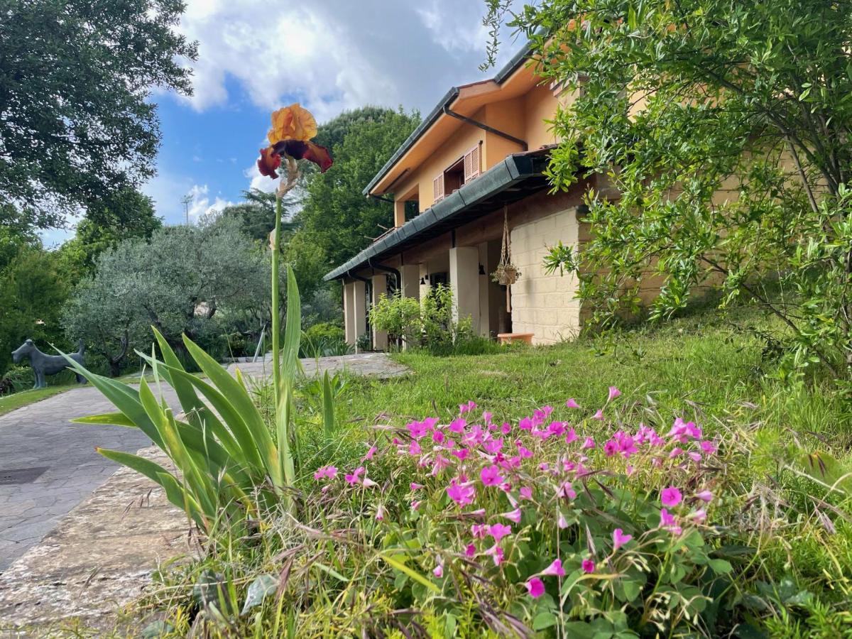 Botanea Guest House Fonte Nuova Exterior photo